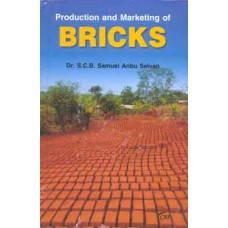 Production and Marketing of Bricks 